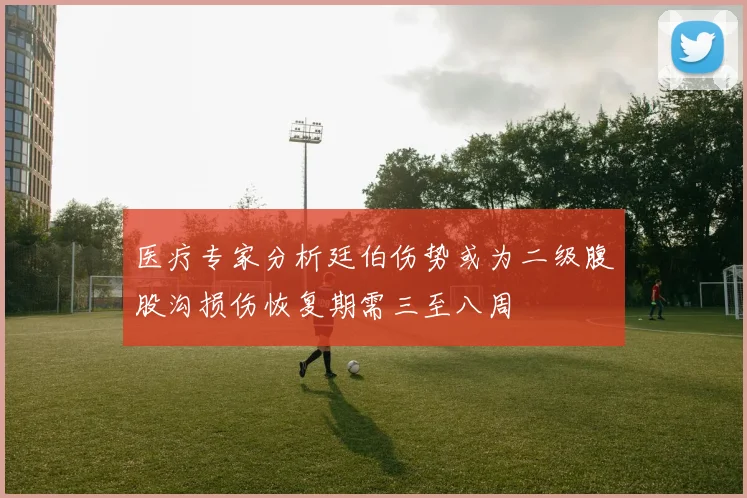 医疗专家分析廷伯伤势或为二级腹股沟损伤恢复期需三至八周